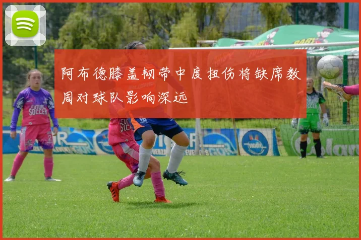 阿布德膝盖韧带中度扭伤将缺席数周对球队影响深远